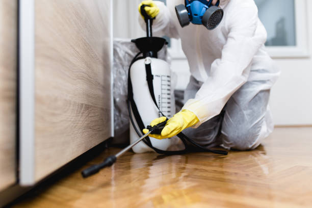 Best Bed Bug Extermination  in Framingham, MA