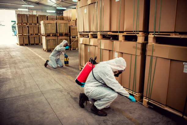 Best Insect Control  in Framingham, MA