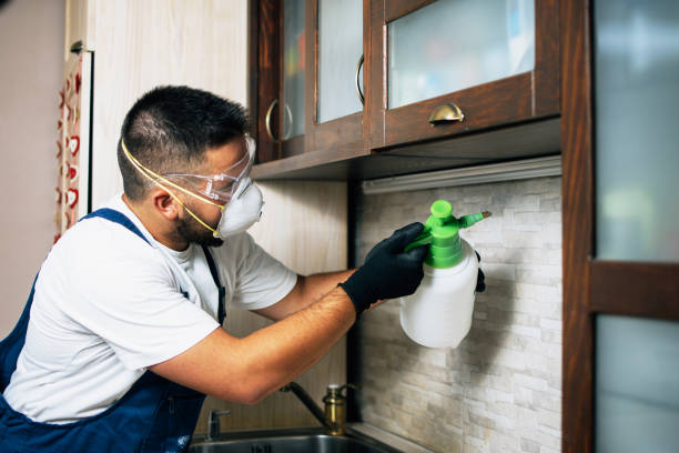 Best Emergency Pest Control  in Framingham, MA