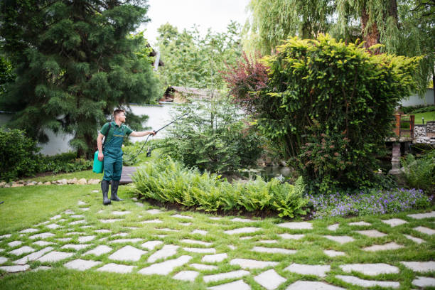 Best Bird Control  in Framingham, MA