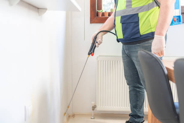 Best Flea Control Services  in Framingham, MA