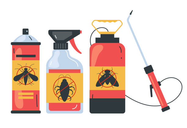 Best Pest Control Near Me in Framingham, MA